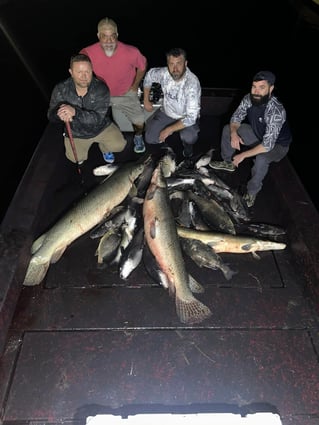 4 Hour Bowfishing Trip at Night
