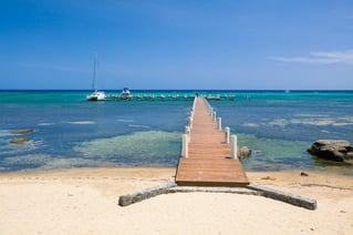 Offshore Fishing Trip