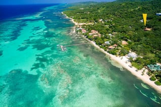 Offshore Fishing Trip