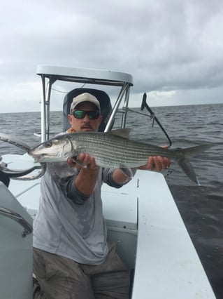 Biscayne Bay/Everglades Trip