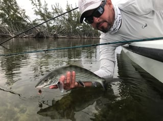 Biscayne Bay/Everglades Trip