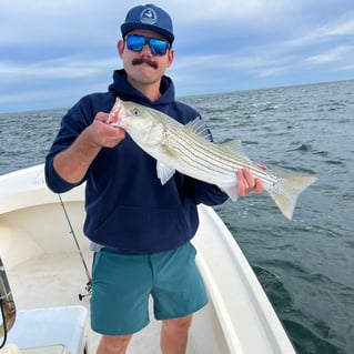 Inshore Light Tackle Fishing