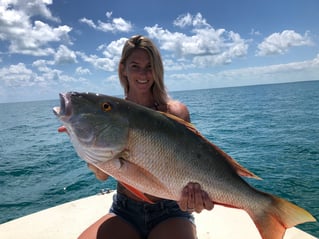4-10 Hour Deep Sea Fishing