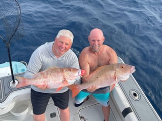 4-10 Hour Deep Sea Fishing