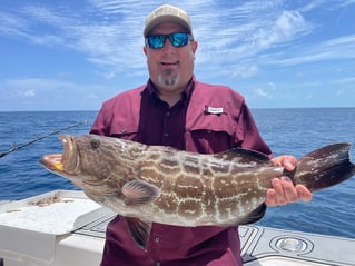 4-10 Hour Deep Sea Fishing