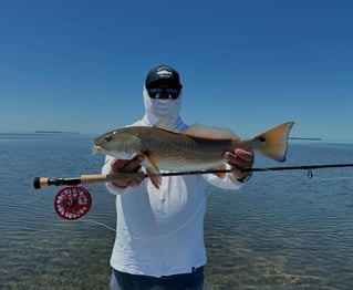 4-8 Hour Fishing Trip