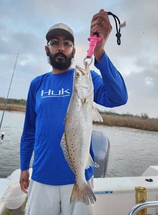 4-6 Hour Trip – Inshore Trip