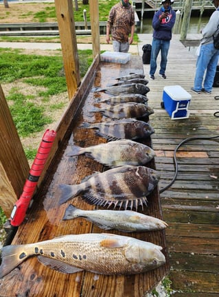 4-6 Hour Trip – Inshore Trip