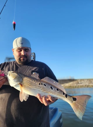 4-6 Hour Trip – Inshore Trip