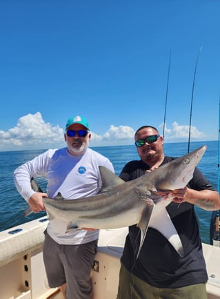 4-6 Hour Trip – Inshore Trip
