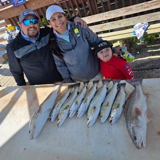 Inshore Fishing Trip 