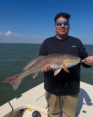Inshore Fishing Trip 