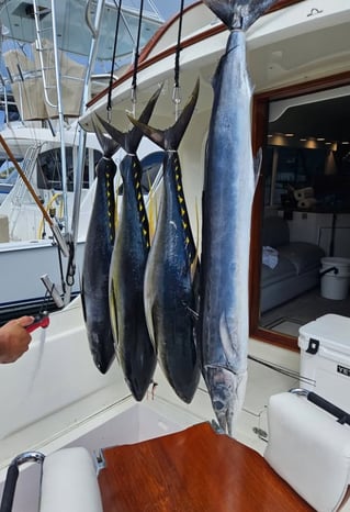 4-10 Hour Offshore Trip