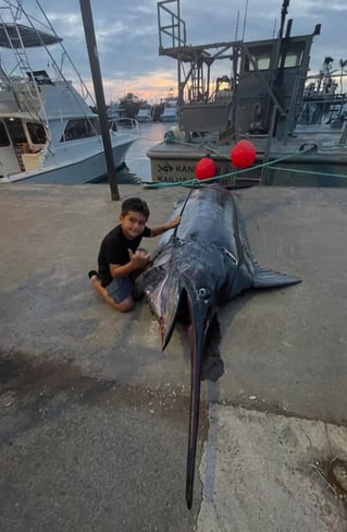 4-10 Hour Offshore Trip