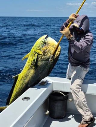 5-9 Hour Offshore Trip