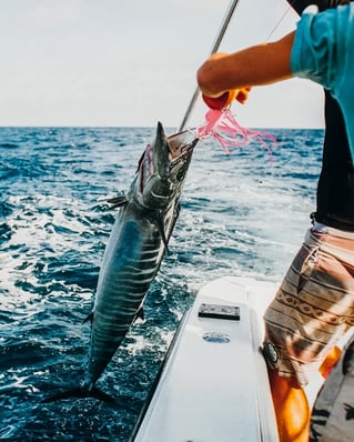 Offshore Trip - Bachata
