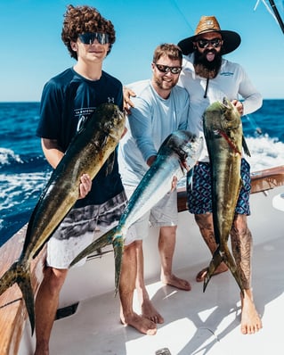 Offshore Trip - Bachata