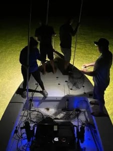 Night Time Lobster Bully Netting