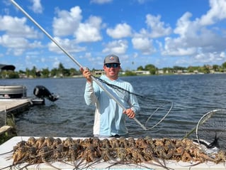 Night Time Lobster Bully Netting