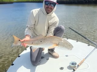 4-8 Hour Inshore Trip