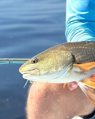 4-8 Hour Inshore Trip