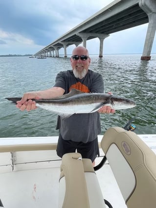 4-8 Hours Inshore Fishing