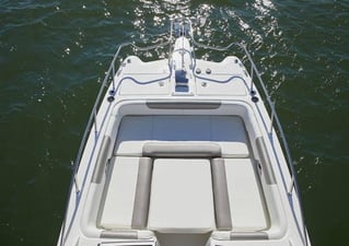 Shell Island Boat Trip