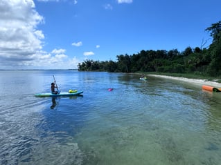 Shell Island Boat Trip