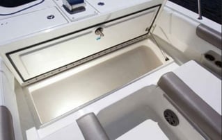 Shell Island Boat Trip