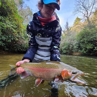 2-8 -Hours Wade Trips