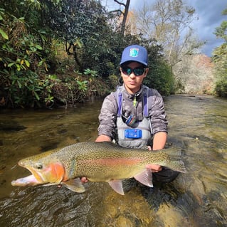 2-8 -Hours Wade Trips