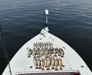 Extended Half Day Fishing Trip