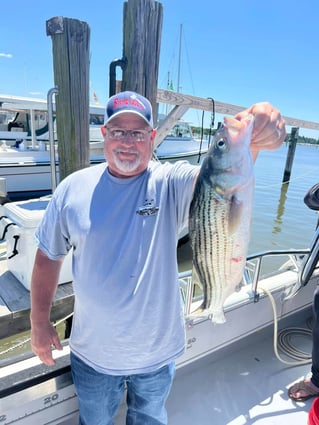1/2 Day Trip – Rockfish Season