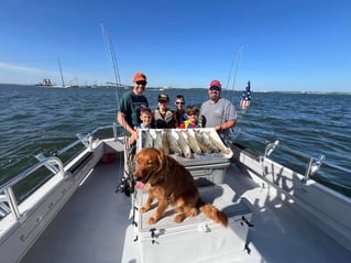 1/2 Day Trip – Rockfish Season