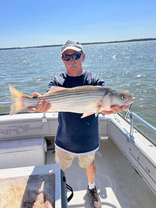 1/2 Day Trip – Rockfish Season