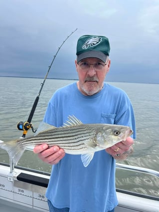 1/2 Day Trip – Rockfish Season