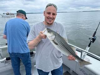1/2 Day Trip – Rockfish Season