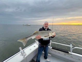 1/2 Day Trip – Rockfish Season