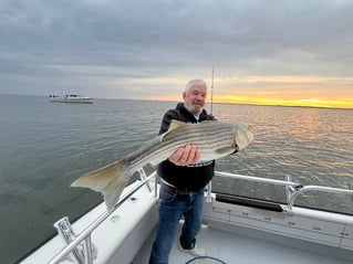 1/2 Day Trip – Rockfish Season