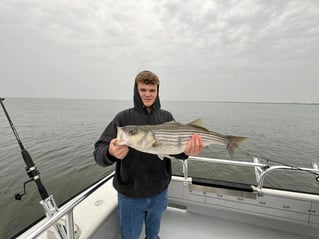 1/2 Day Trip – Rockfish Season