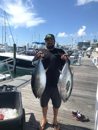 4-8 Hours Offshore Trip