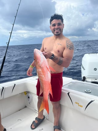 4-8 Hours Offshore Trip