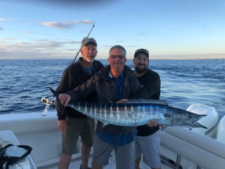 4-8 Hours Offshore Trip