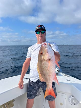 4-8 Hours Offshore Trip