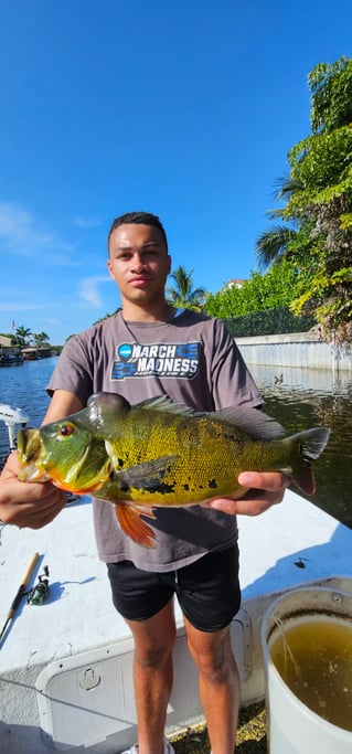 Guaranteed Peacock bass and more