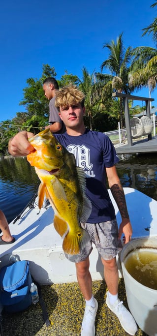 Guaranteed Peacock bass and more