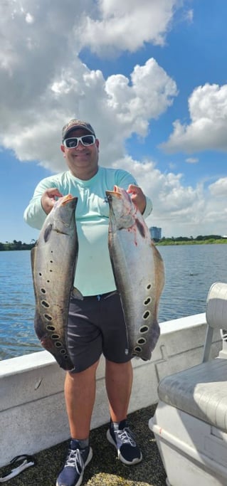 Guaranteed Peacock bass and more