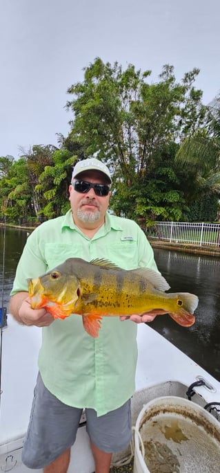 Guaranteed Peacock bass and more