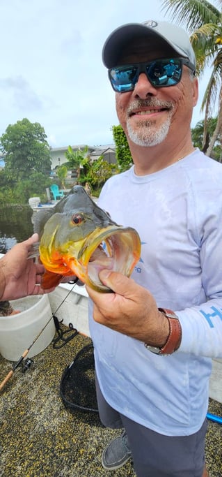 Guaranteed Peacock bass and more