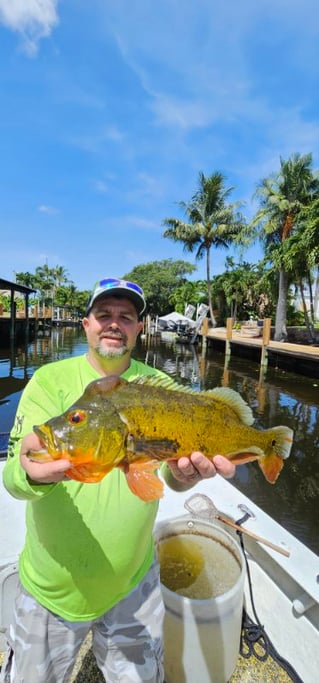 Guaranteed Peacock bass and more